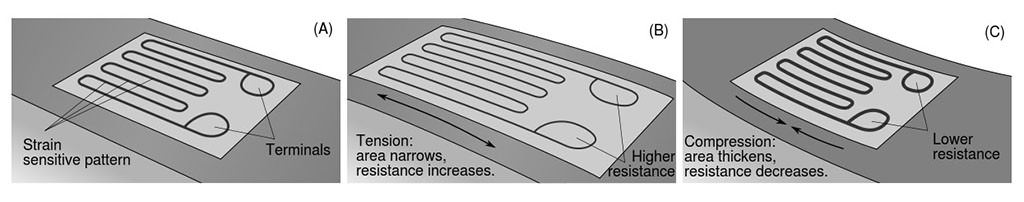 strain-gauge-visualization