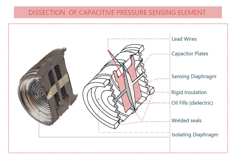 Metal Capacitance sensor dissection view 