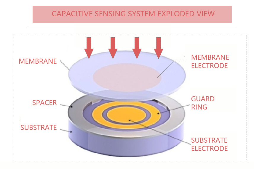 Capacitive Sensing System Exploded View