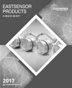 Download Eastsensor Products Catalog 2017-bw