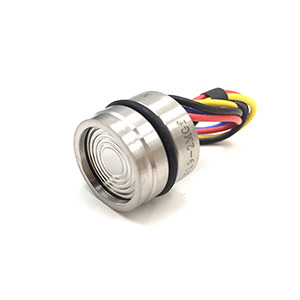 ESS319T Pressure & Temperature Sensor - Eastsensor Technology