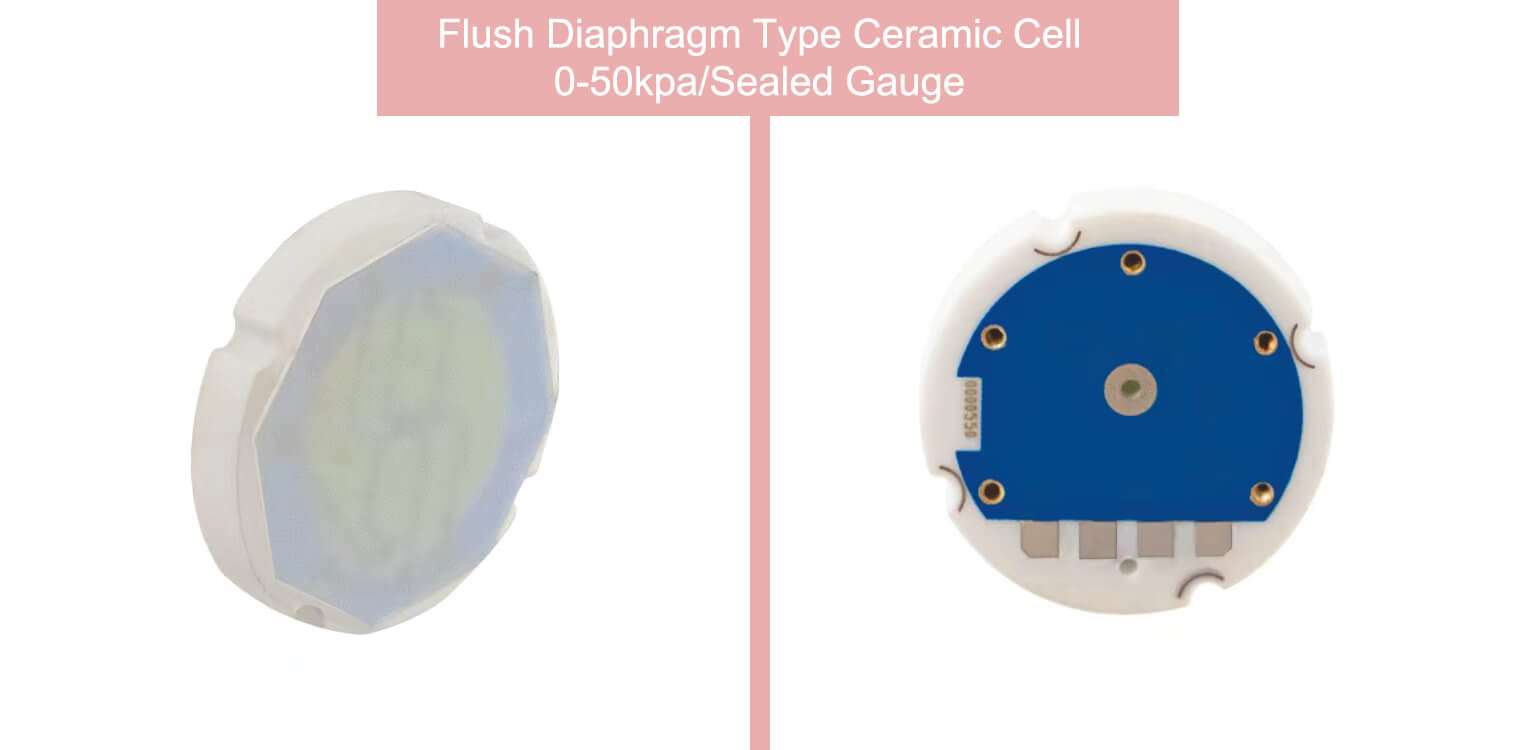 ESS501 Ceramic Pressure Sensor-Flush Diaphragm-3